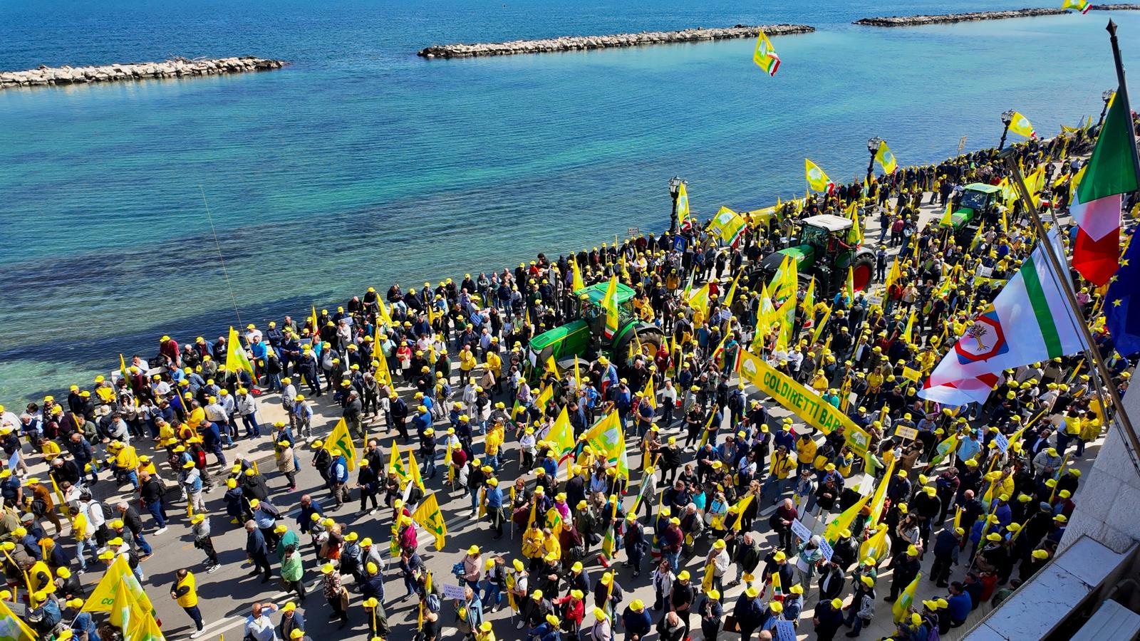 Galleria Decaro e Paolicelli incontrano gli agricoltori alla manifestazione regionale di Coldiretti - Diapositiva 10 di 12