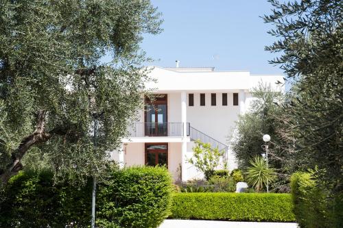 Giardino degli ulivi.jpg