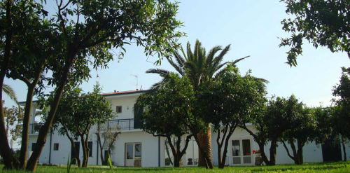 Donna Clementina.png