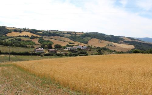 il monte di narnia1.jpg